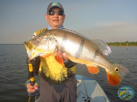 Fotos da pesca esportiva na regio Amaznica