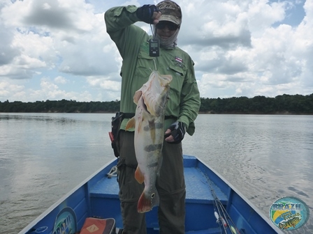 Fotos da pesca esportiva na regio Amaznica